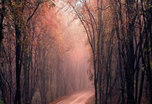 开云体育中国-那不勒斯轻取勒沃库森，内马尔惊艳世界——足球盛宴背后的荣耀与激情