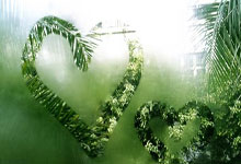 开云体育官网-巴西男篮轻取中国男篮，特雷杨惊艳世界