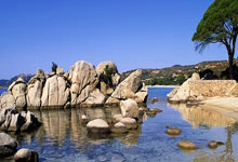 开云体育中国-利物浦逆转中国战局，格列兹曼助攻震撼全场